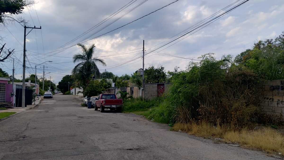 6 de 7