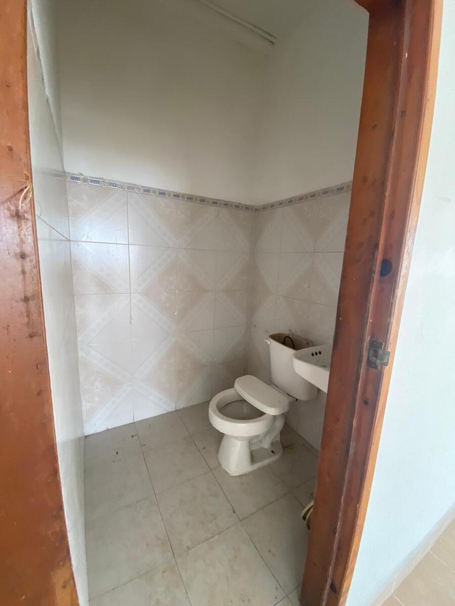 6 de 11