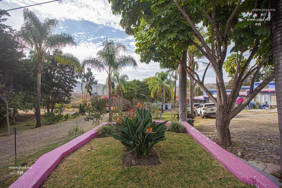 25 de 35