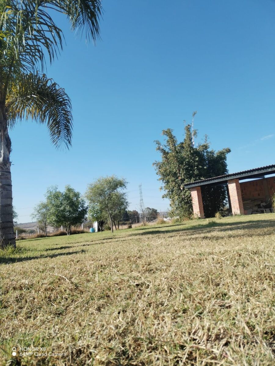 4 de 10