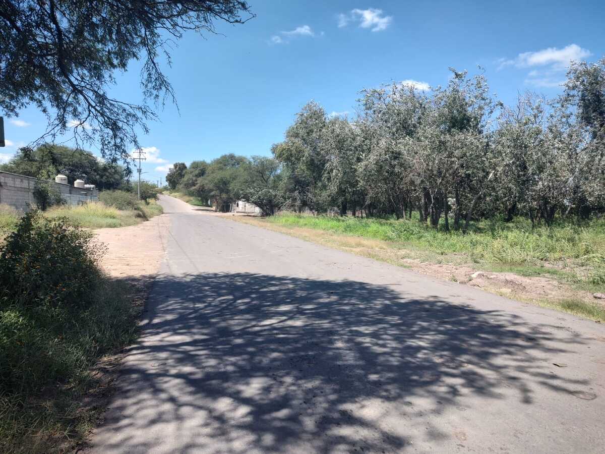 4 de 8