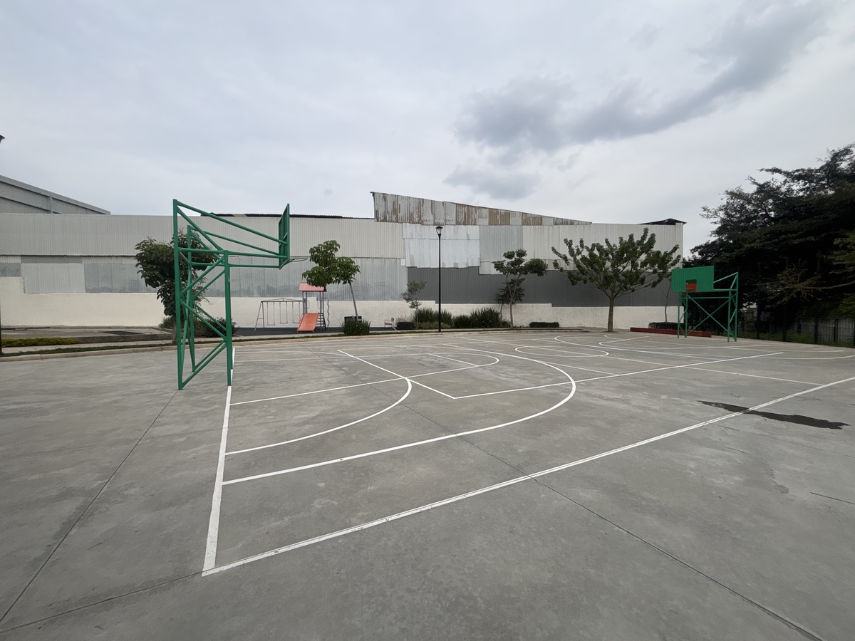 13 de 21