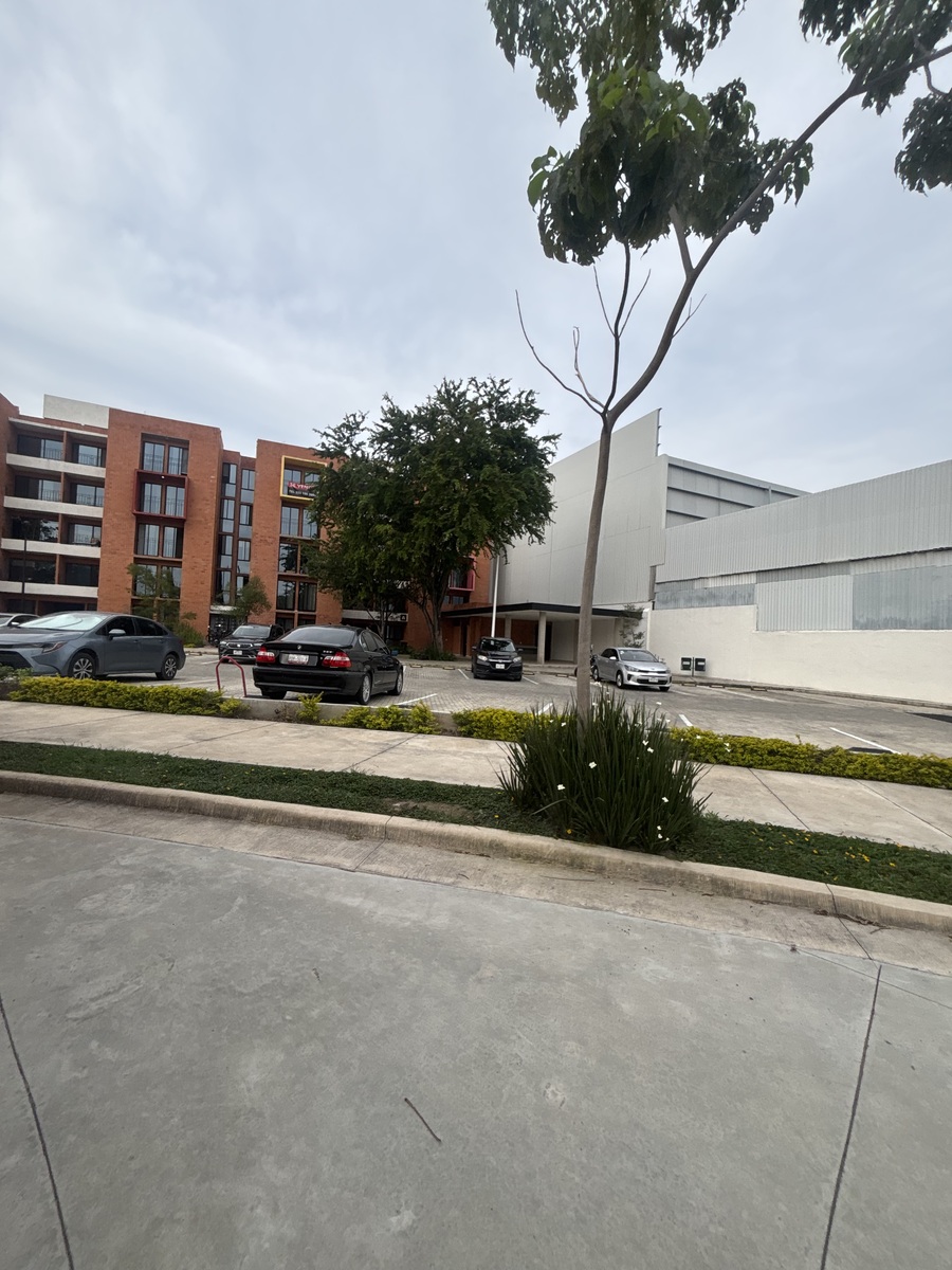 16 de 21