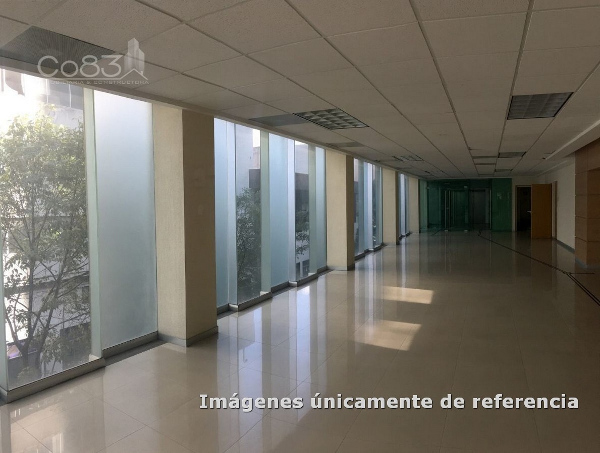 1 de 12