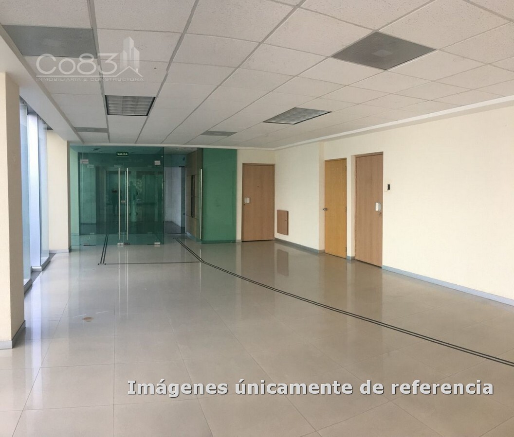 2 de 12