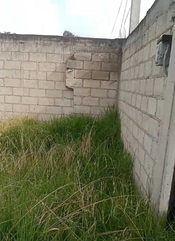 5 de 6
