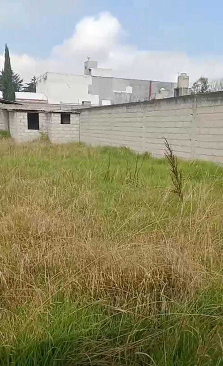 6 de 6