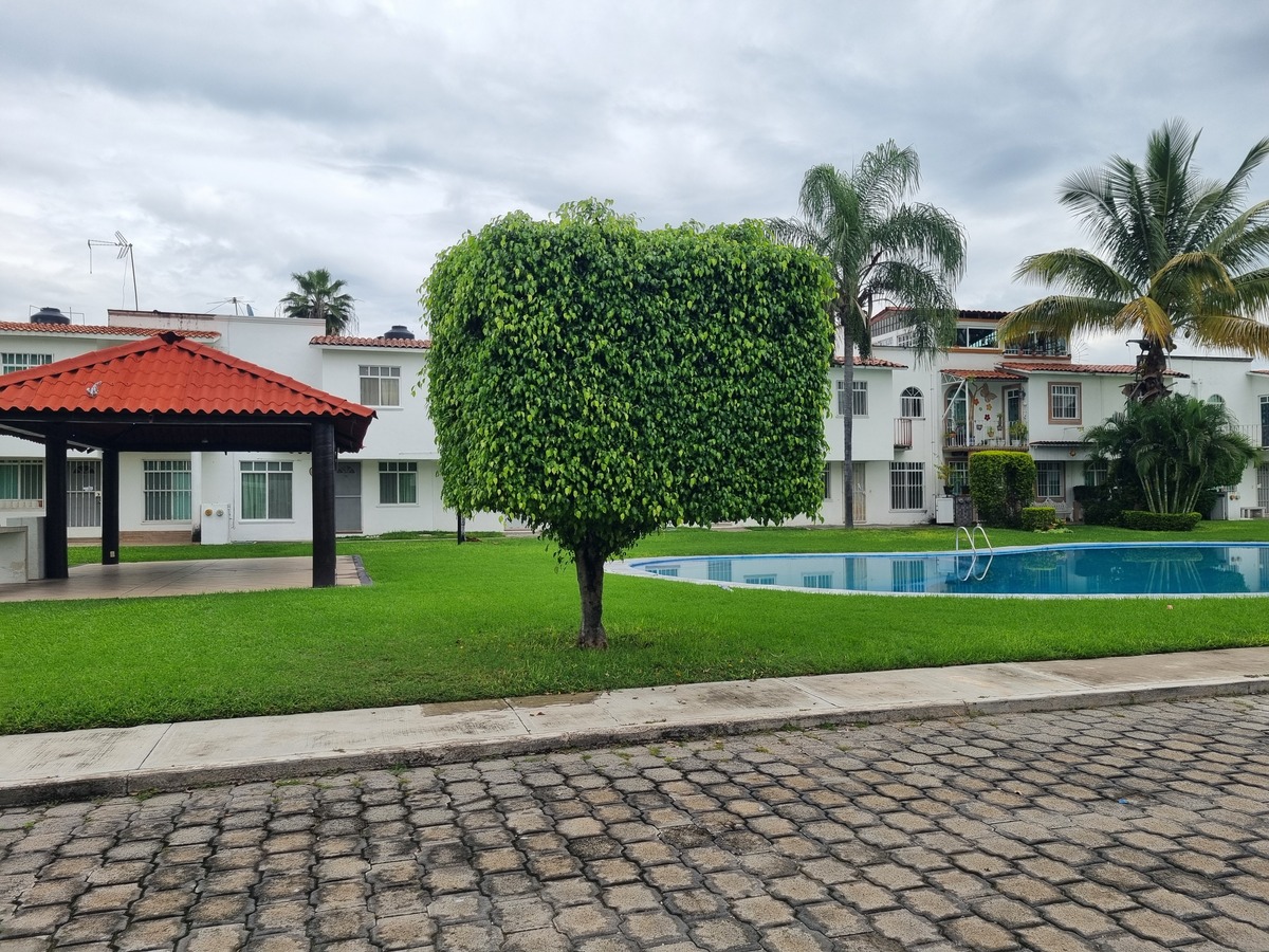 2 of 18: Alberca con palapa