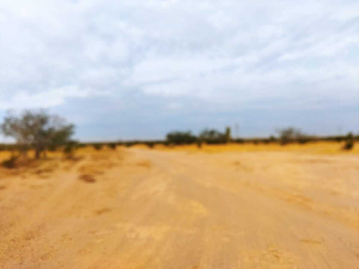 5 de 13