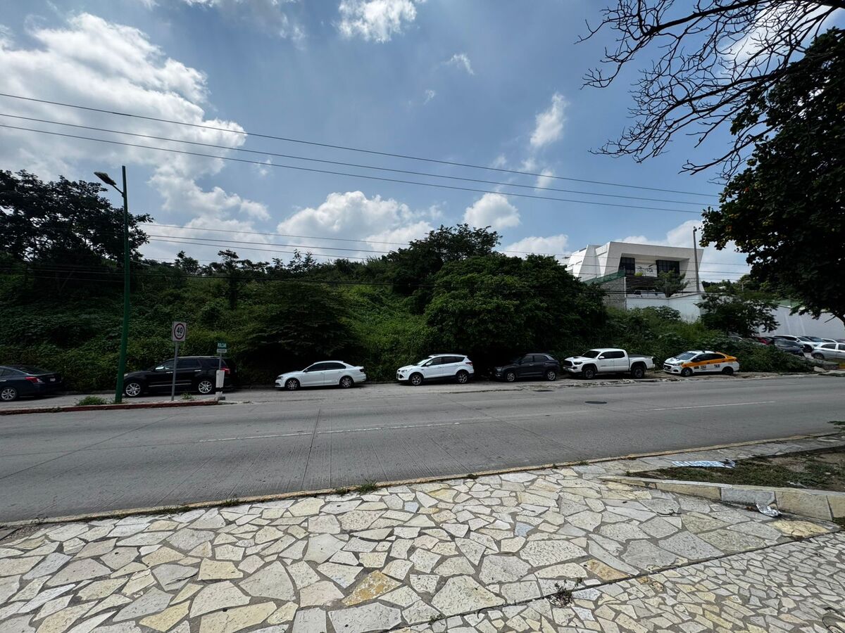 4 de 4