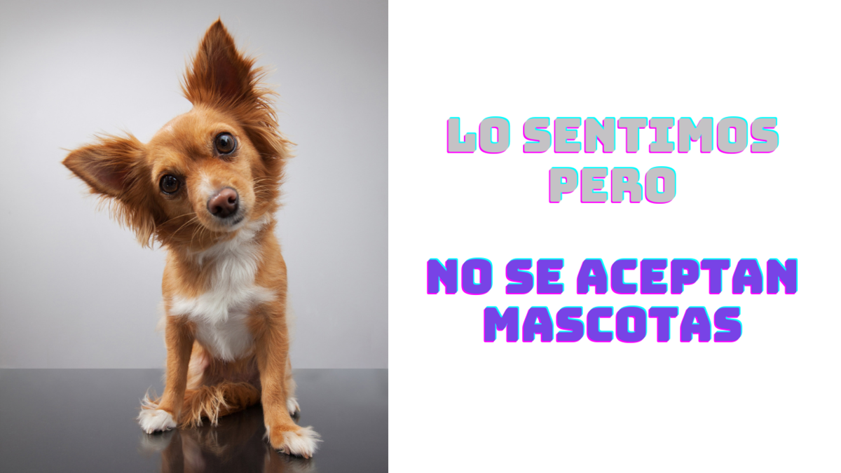 2 de 14
