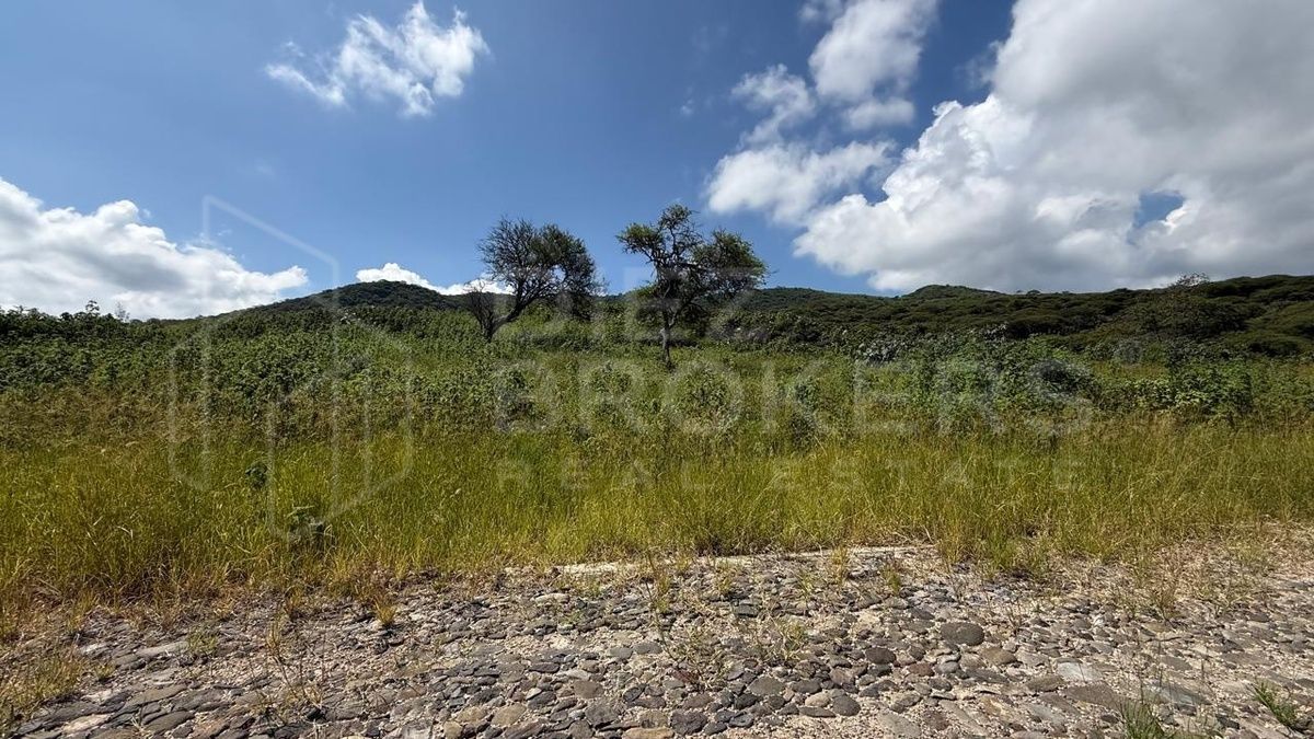Terreno en Venta - Tuxcueca, Jalisco - foto 4