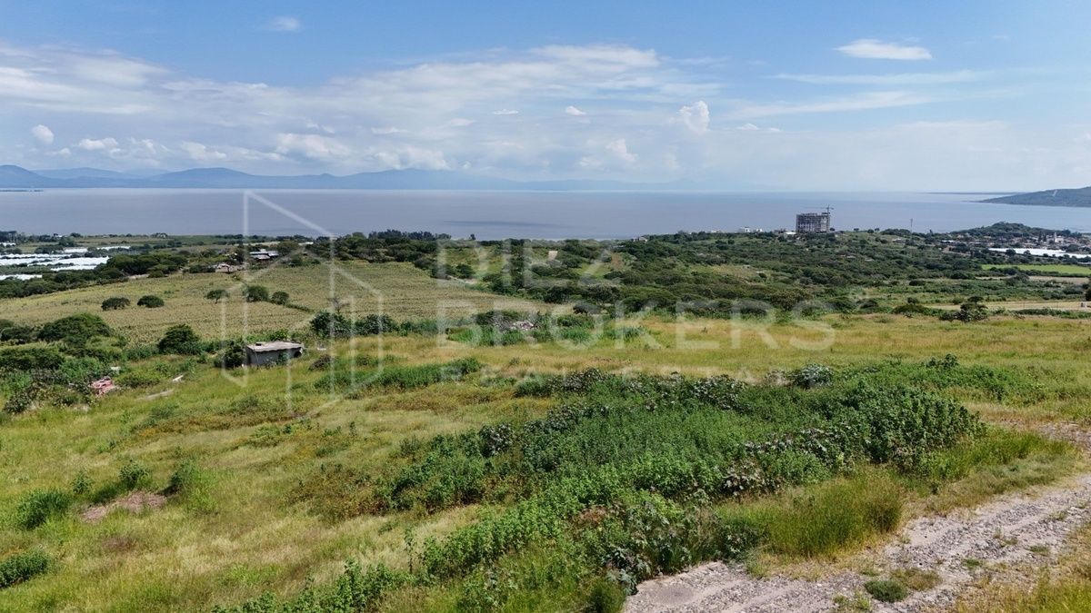 Terreno en Venta - Tuxcueca, Jalisco - foto 3