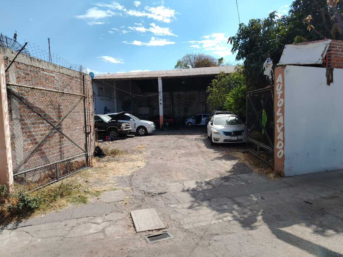3 de 12