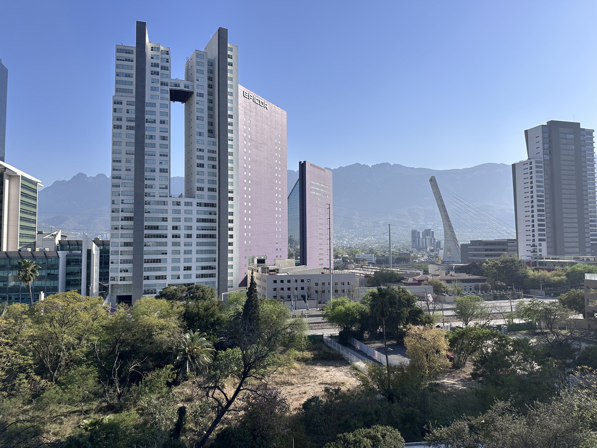 6 de 11