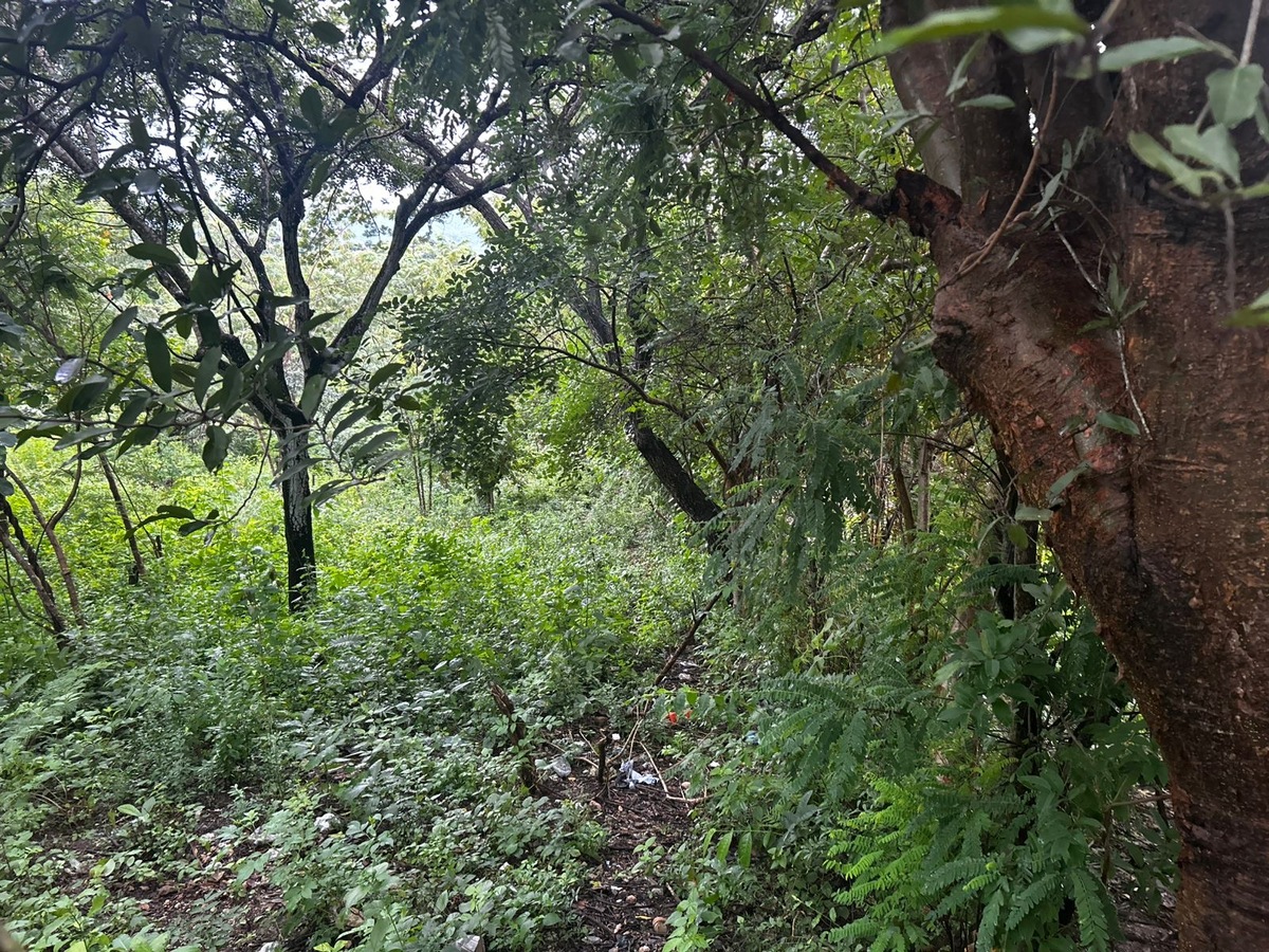 4 de 14