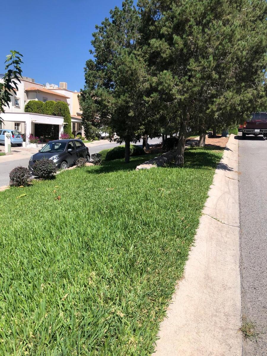 3 de 13