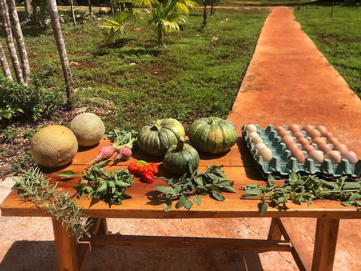 Casa em Acanceh, Acanceh, foto 8 de 11