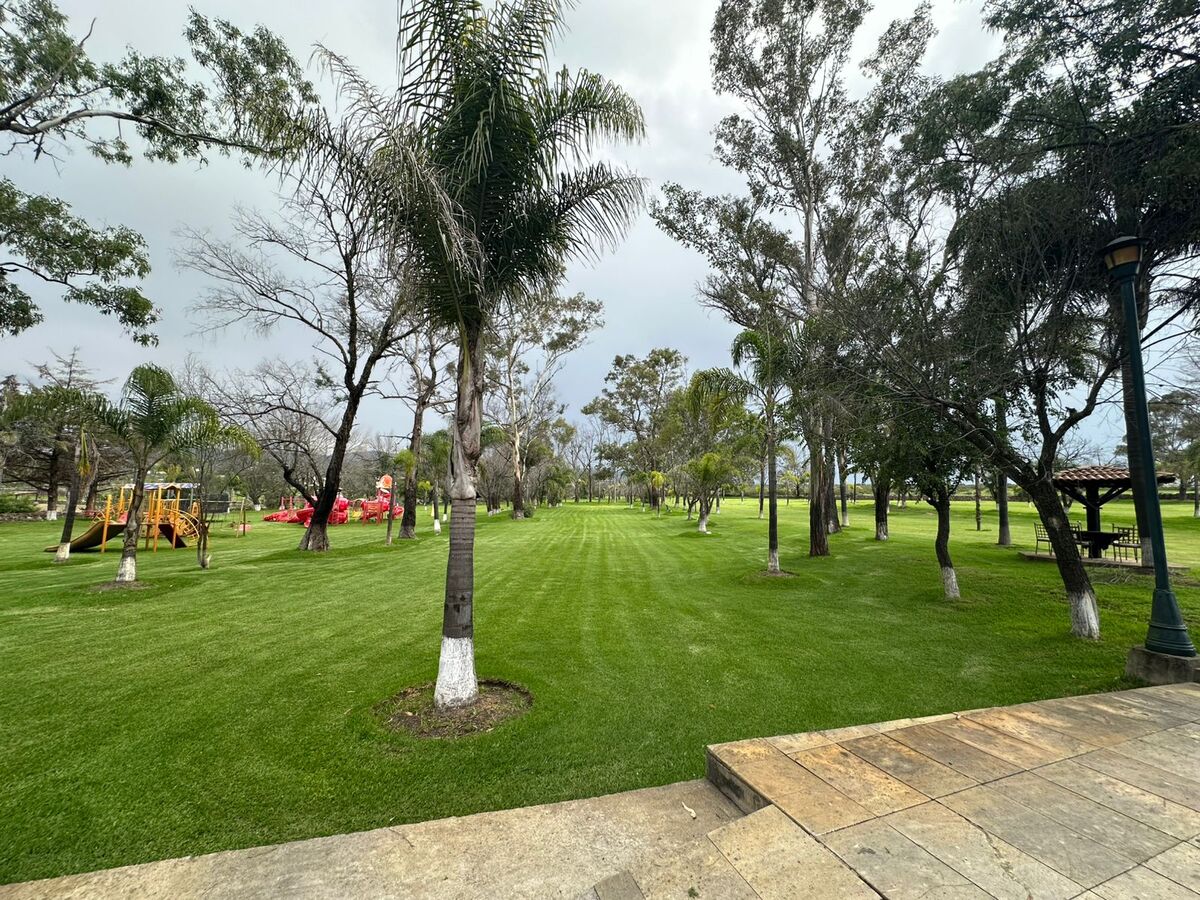3 de 35