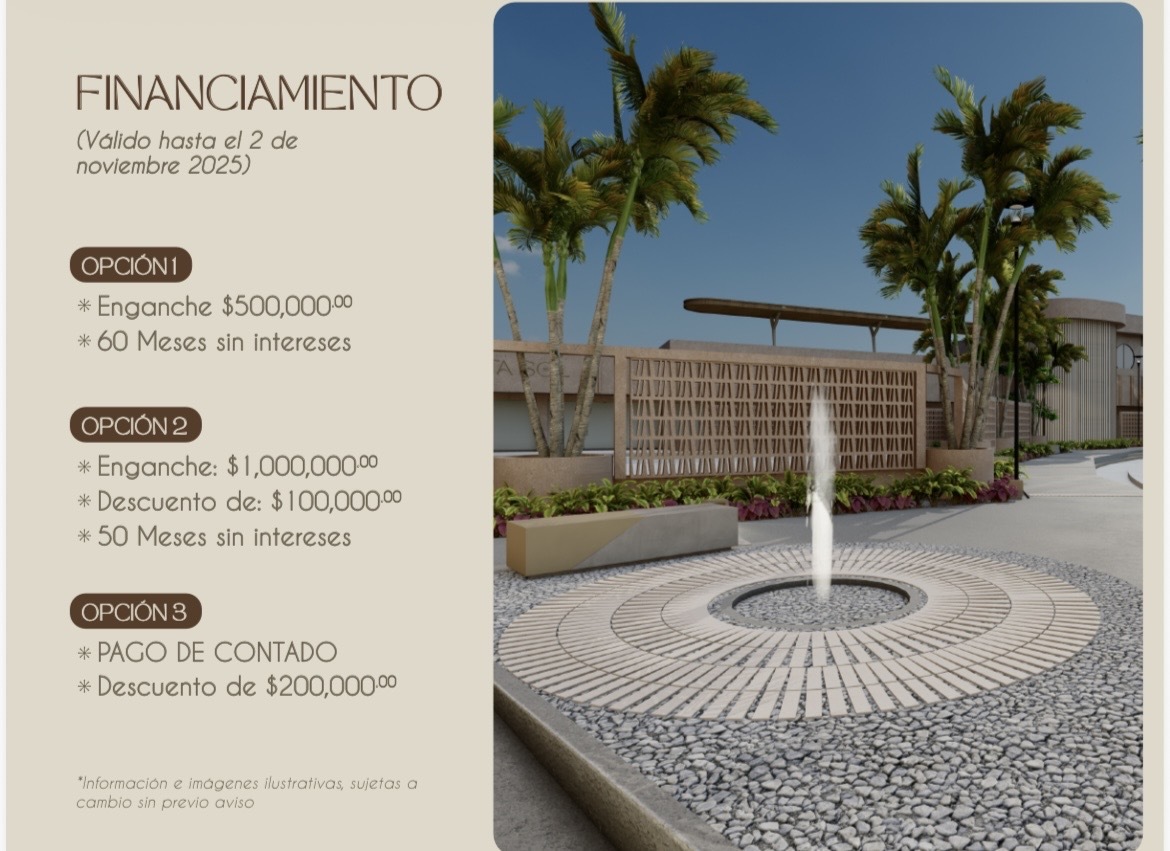 22 de 24