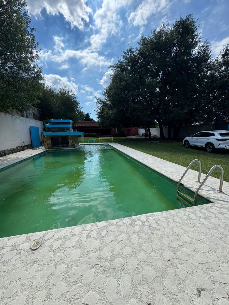 2 de 12