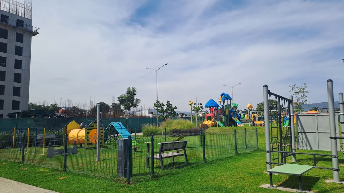 20 de 25