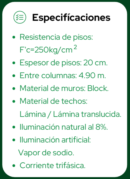 4 de 6