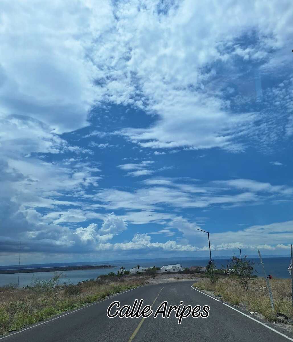 5 de 12