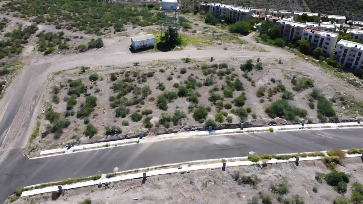 7 de 12