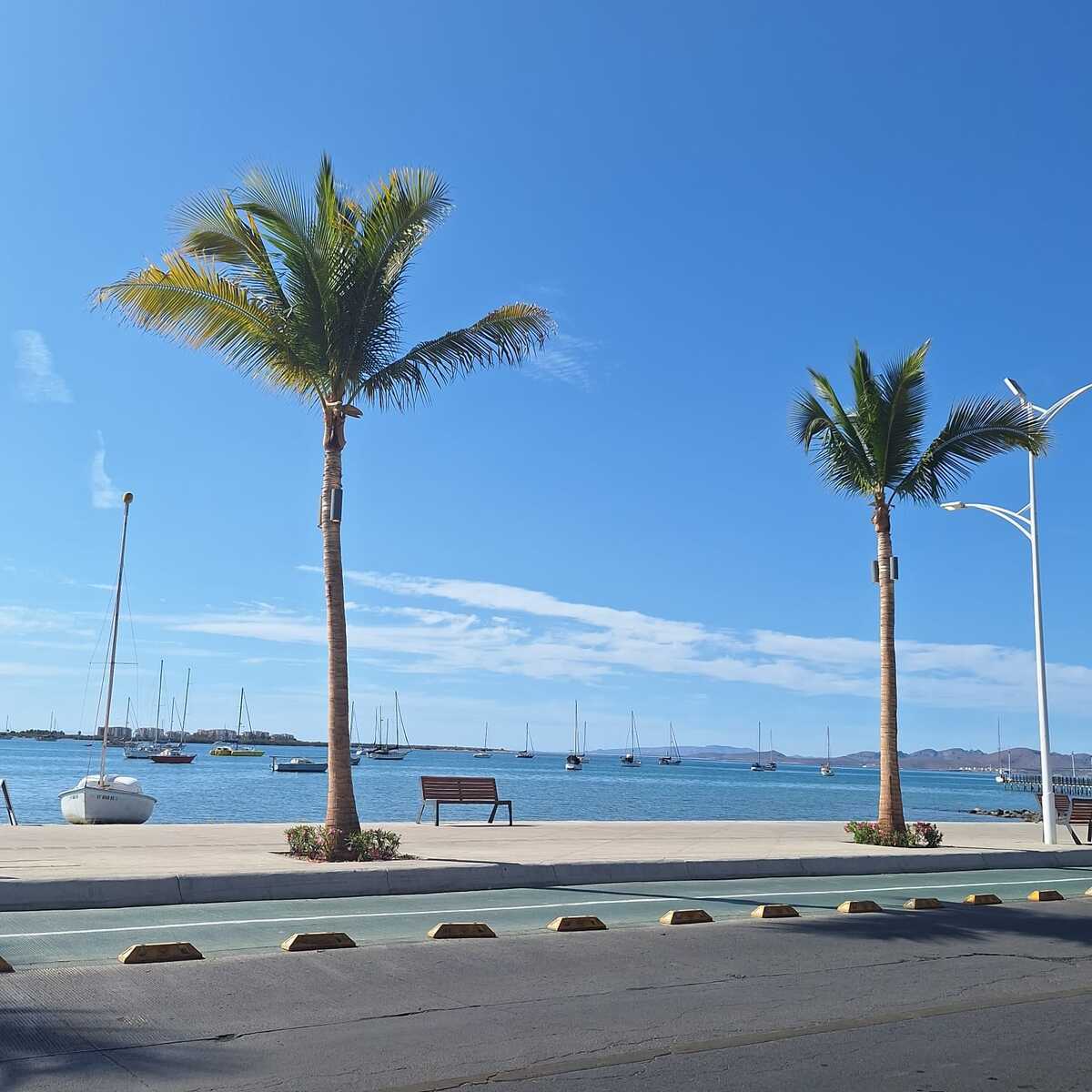 10 de 12