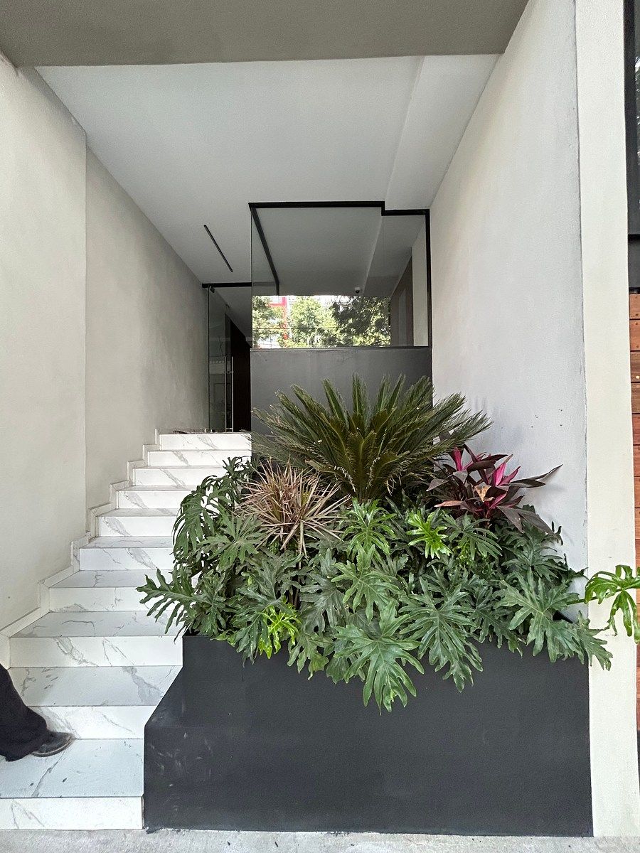 30 de 34: entrada al edificio