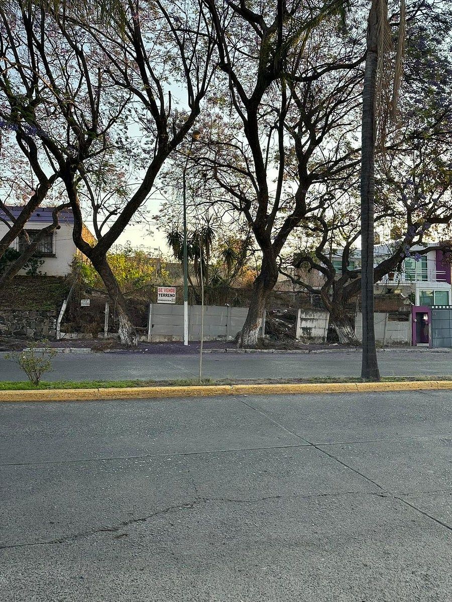 Lote em Jacarandas, Zapopan, foto 12 de 13