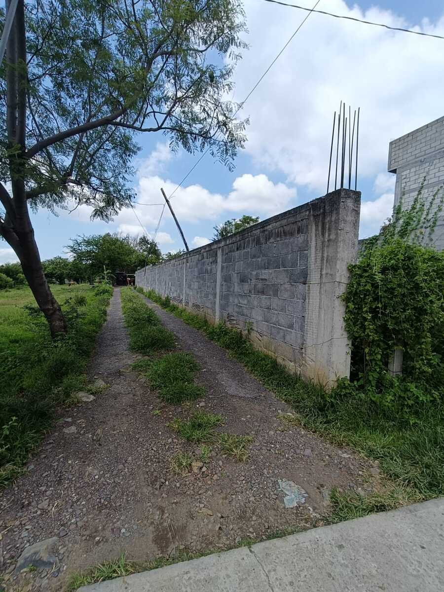 5 de 10