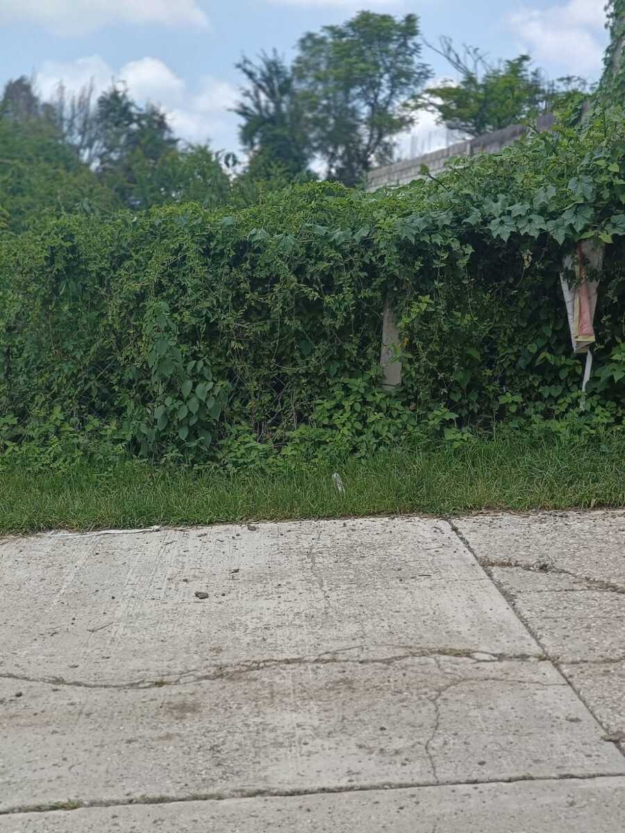 3 de 10