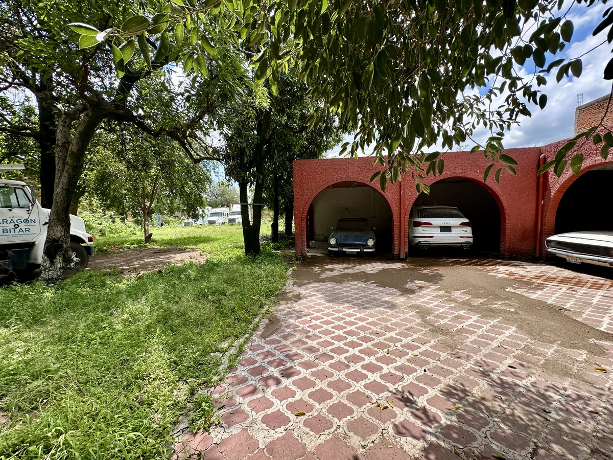4 de 14