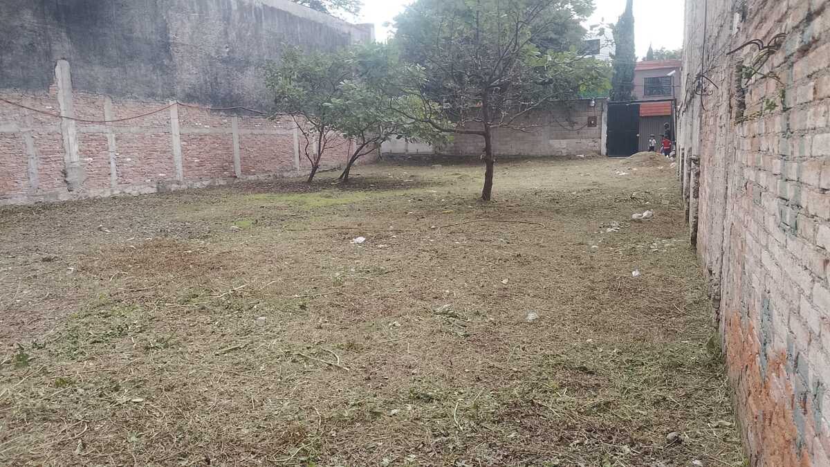 3 de 5