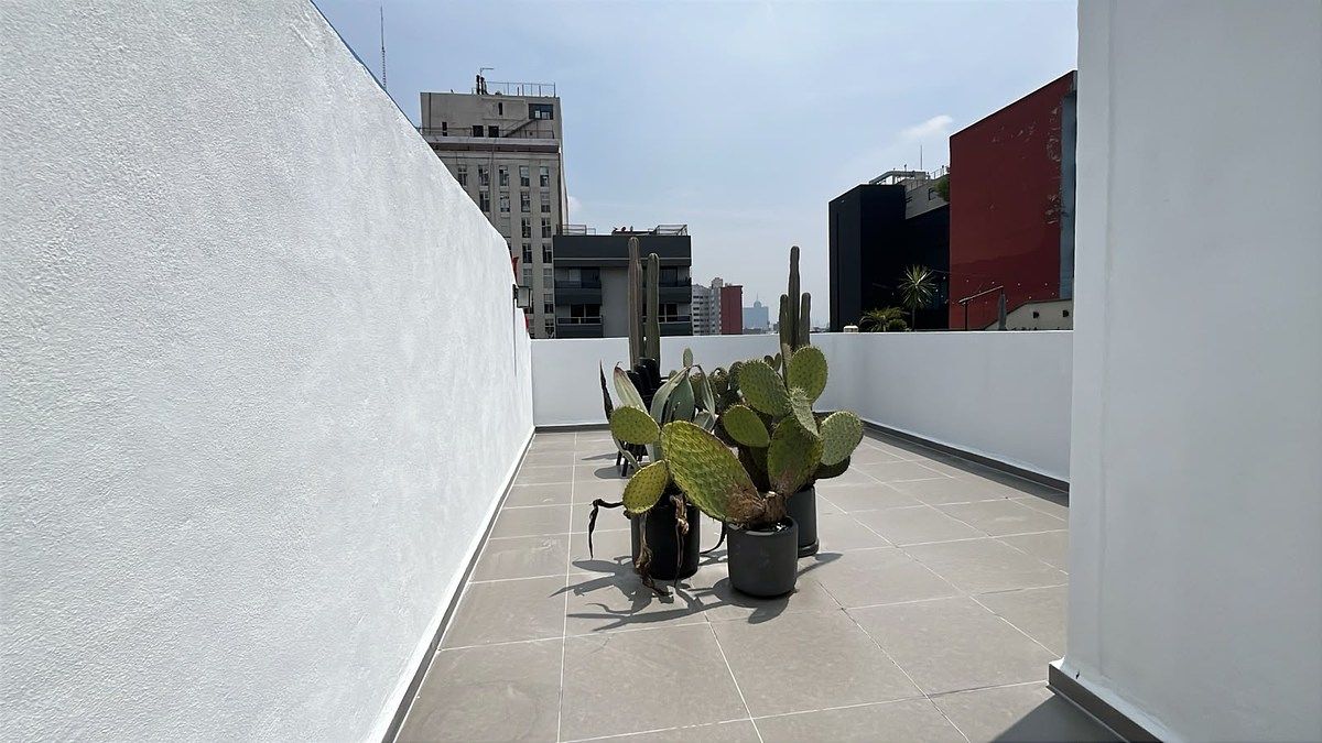 Apartment in Roma Norte, Cuauhtémoc, photo 7 of 18