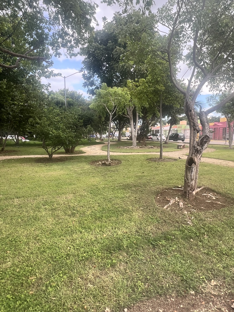 13 de 25