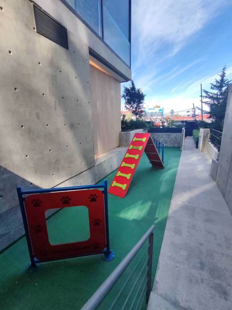 12 of 25