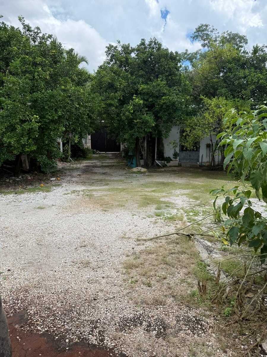 3 de 5
