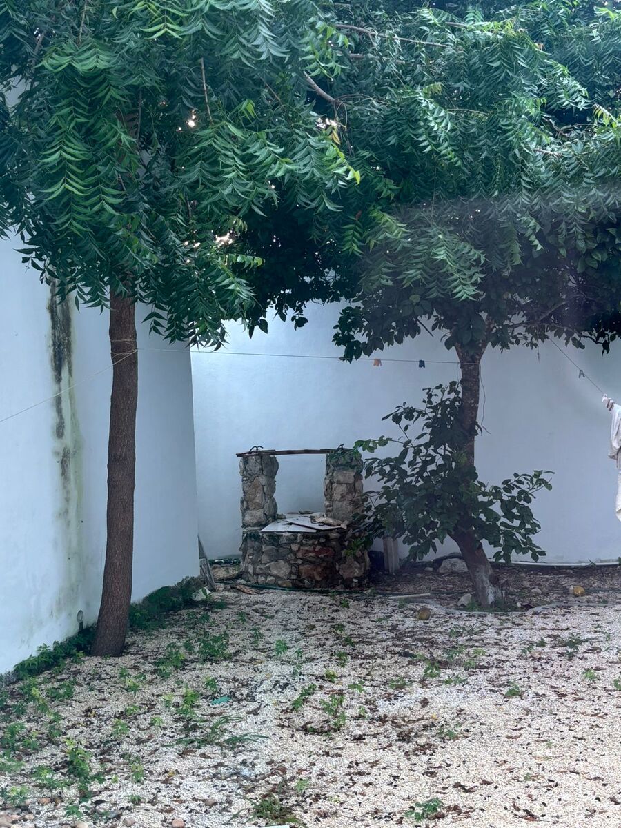 12 de 12