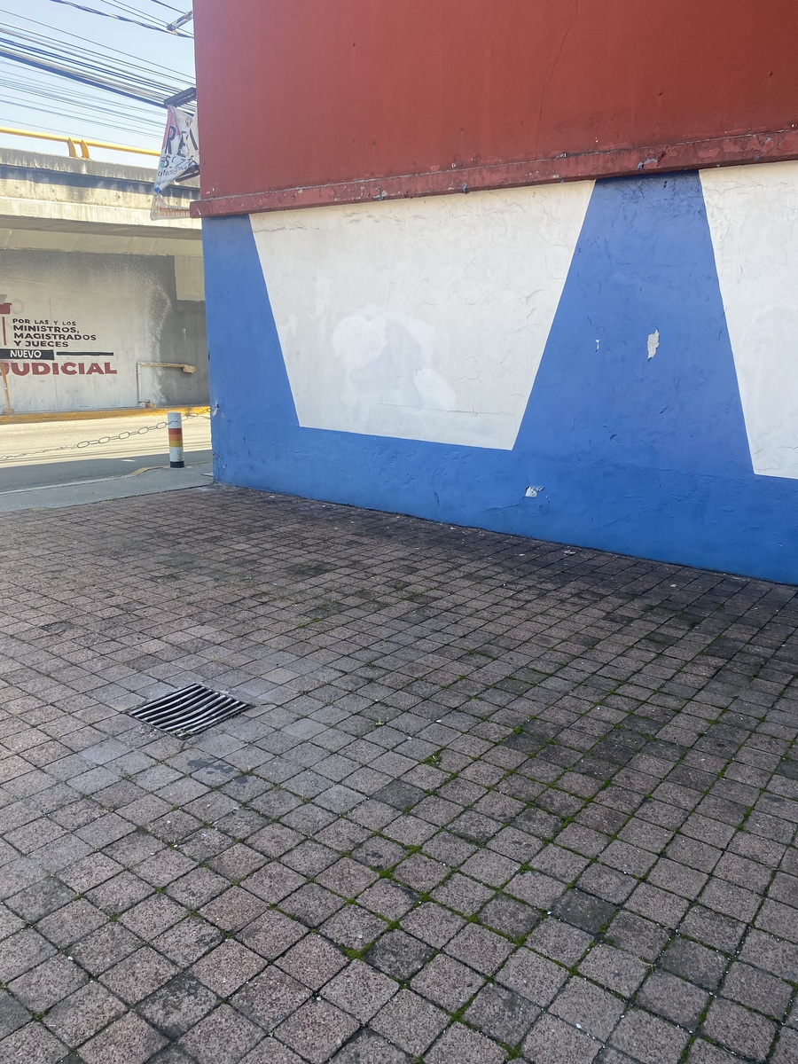 3 de 6