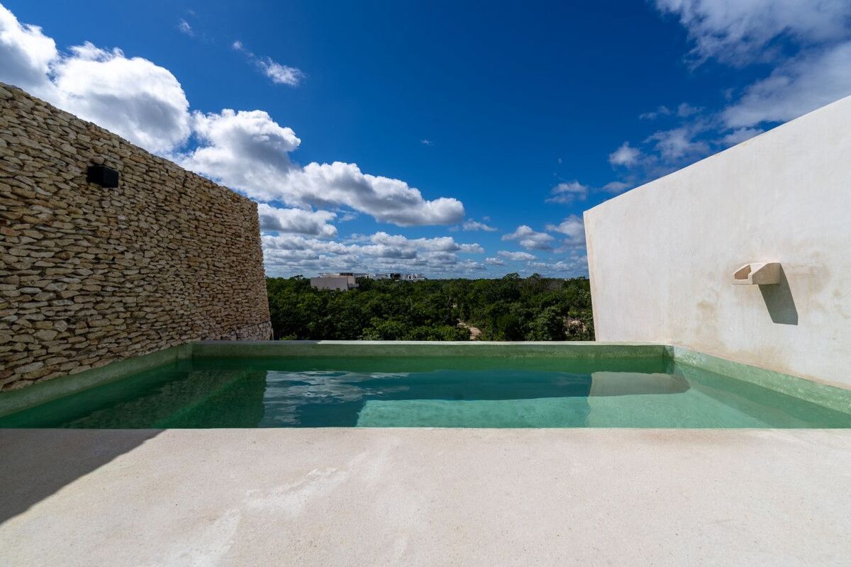 3 de 12: Rooftop plunge pool facing jungle views.
