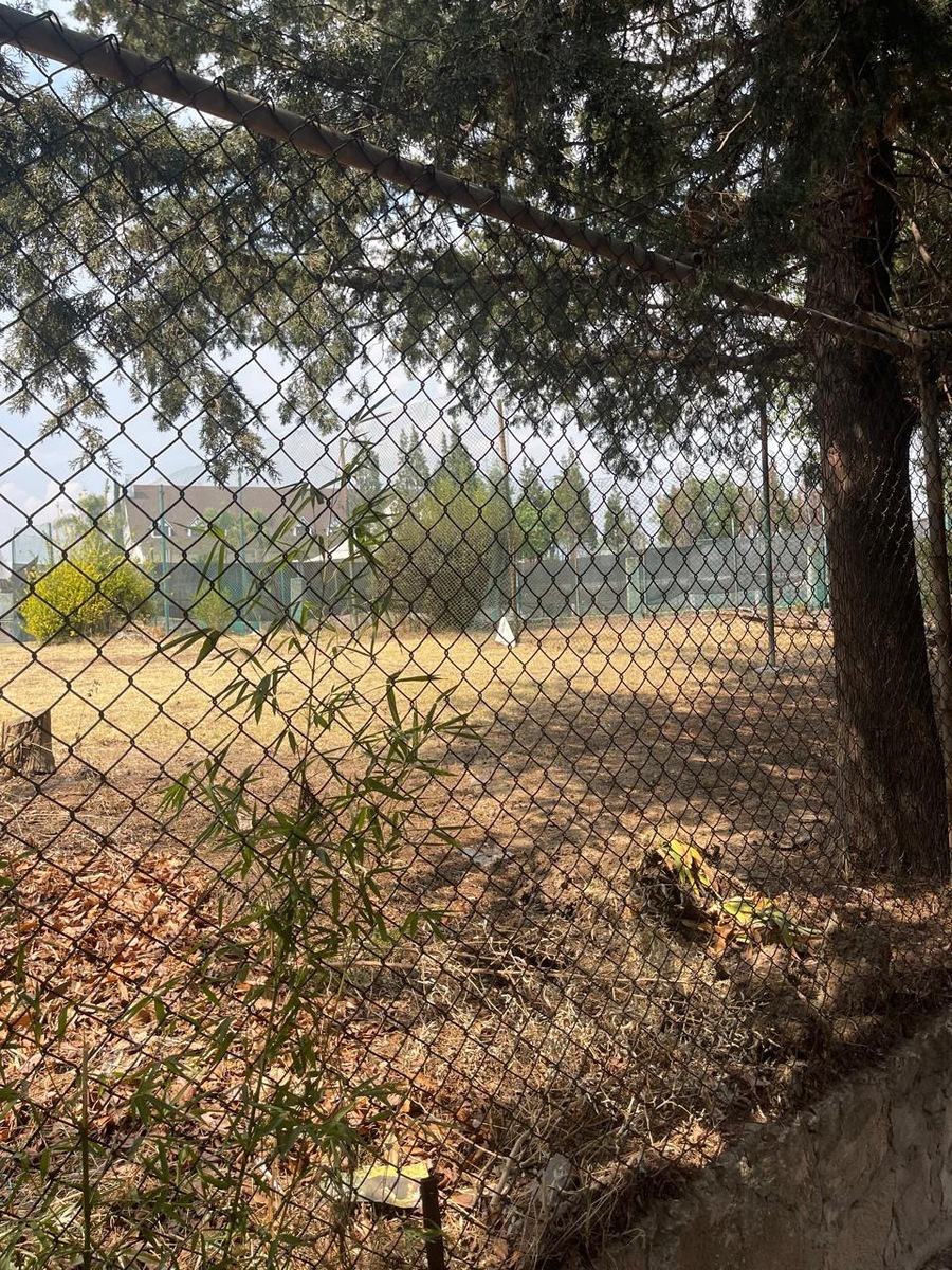 3 of 7