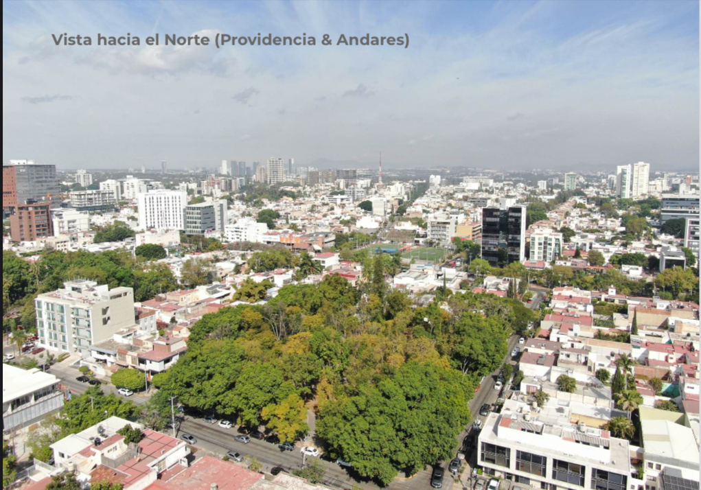 2 de 13