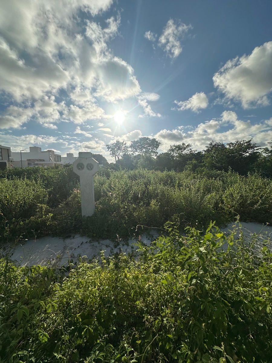 6 de 13: Lotes amplios y con murete de luz