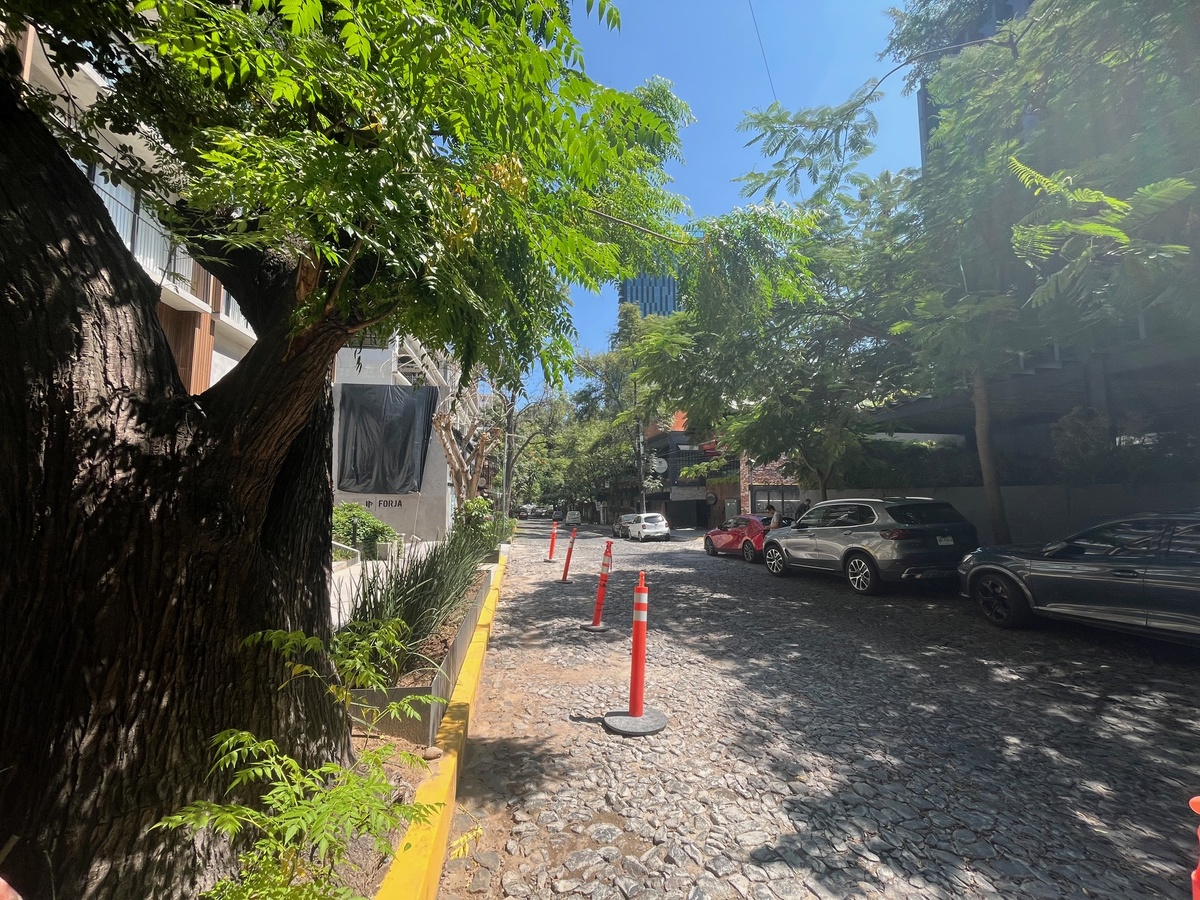9 of 28: calle Sao Paulo empedrada y arbolada