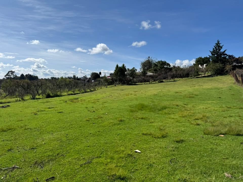 1 of 7