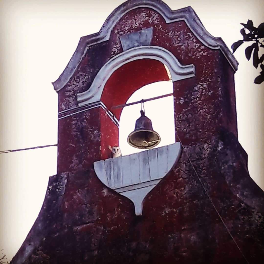 10 de 26