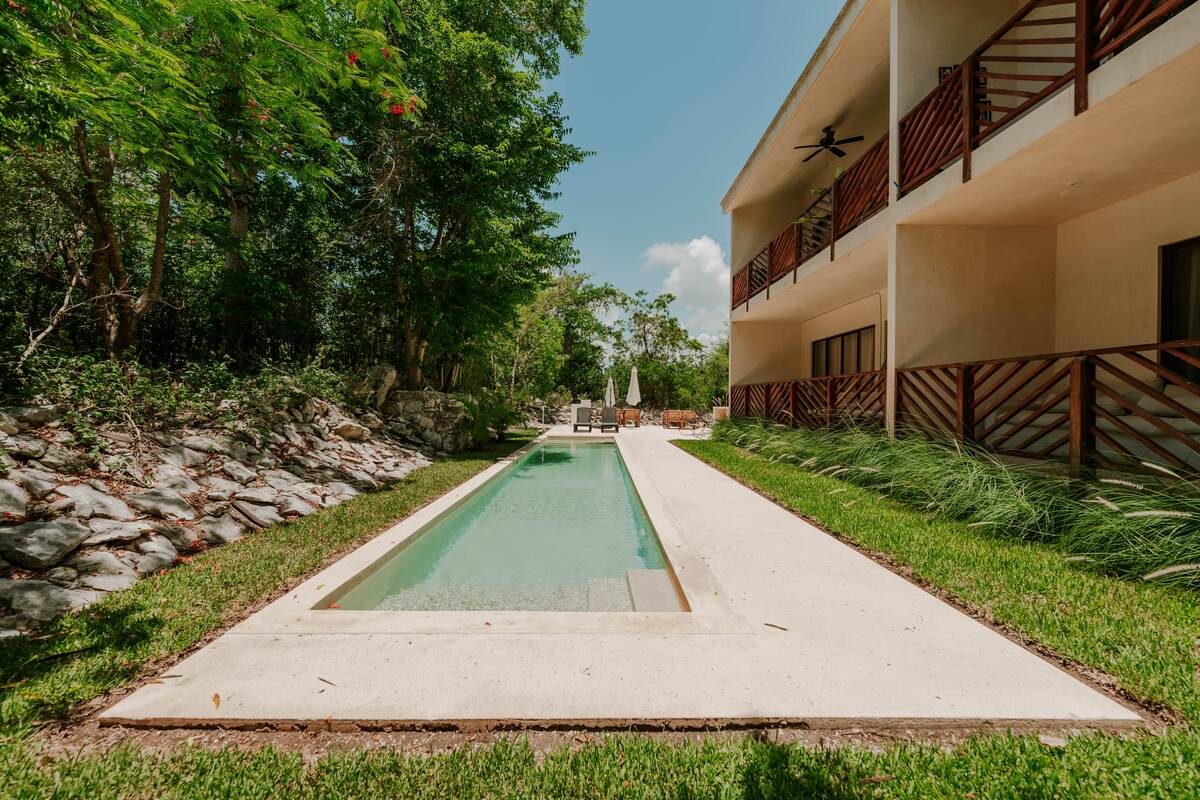1 of 18: Jungle-Lined Lap Pool